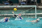 WWPolo vs CC  Wheaton College Women’s Water Polo compete in their sports inaugural match vs Connecticut College. - Photo By: KEITH NORDSTROM : Wheaton, water polo, inaugural